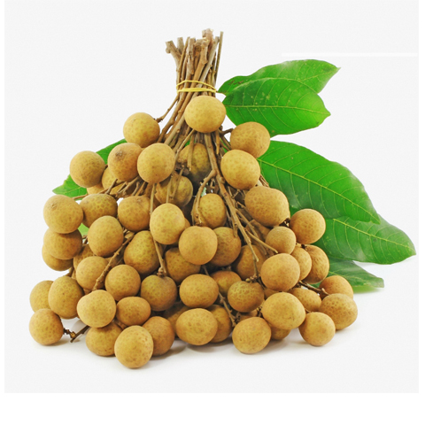 Nhãn miền thiết