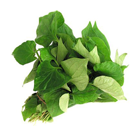 rau diếp cá